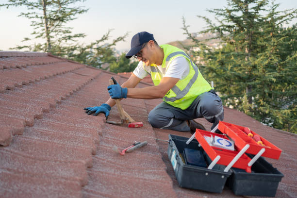 Best Roof Gutter Cleaning  in Copperton, UT